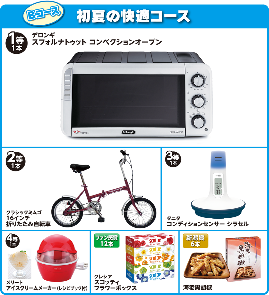 Bコース